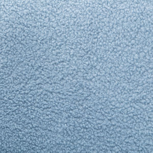 Modern Comfy Leisure Accent Chair Teddy Short Plush Particle Velvet Armchair with Ottoman for Living Room