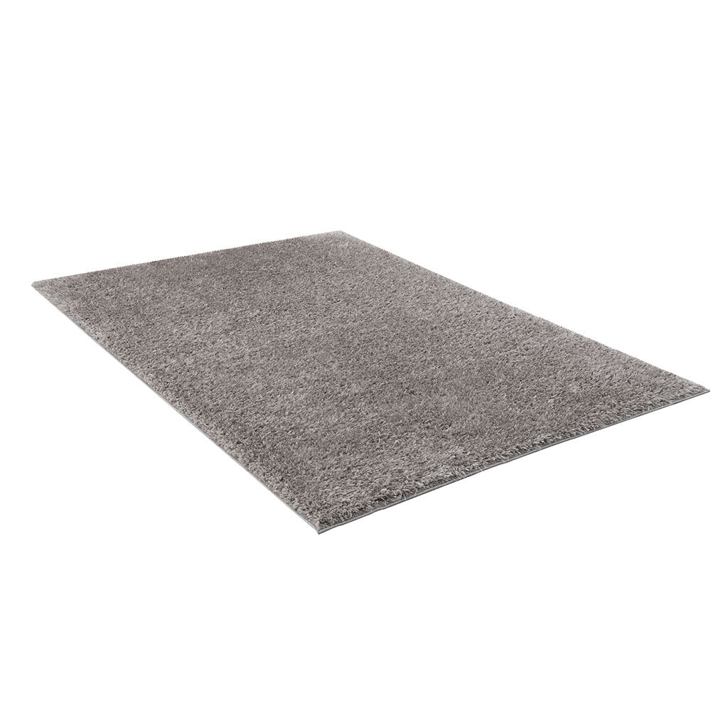 Super Soft Polyester Shag Area Rug 4' x 6'