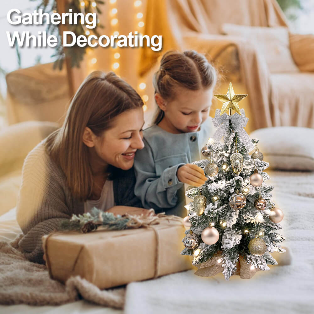 2ft Tabletop Christmas Tree with Light Christmas Decoration with Flocked Snow