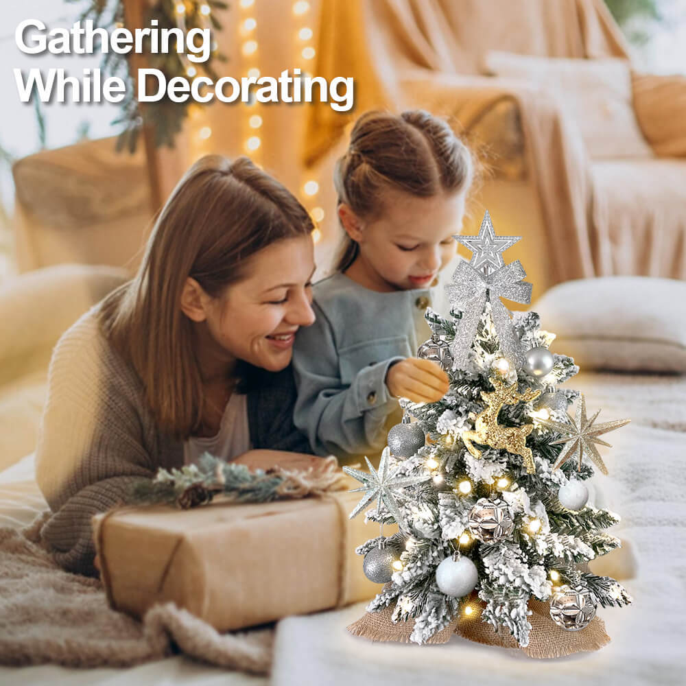 2ft Mini Christmas Tree with Light Tabletop Christmas Decoration with Flocked Snow