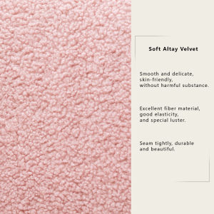 Modern Comfy Leisure Accent Chair Teddy Short Plush Particle Velvet Armchair with Ottoman for Living Room