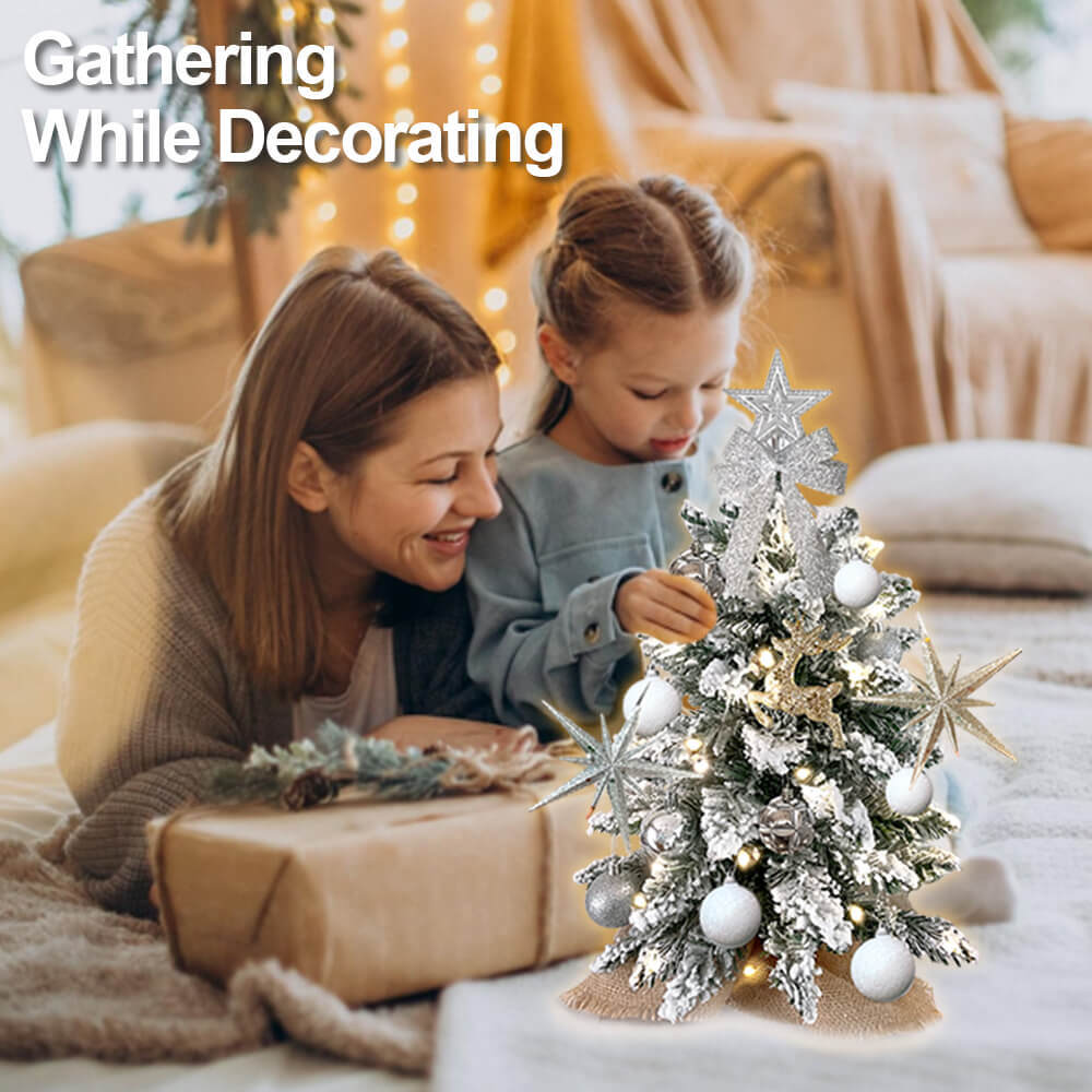 2ft Tabletop Christmas Tree with Light Christmas Decoration with Flocked Snow