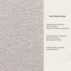 Modern Comfy Leisure Accent Chair Teddy Short Plush Particle Velvet Armchair with Ottoman for Living Room