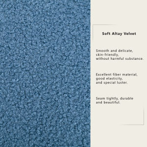 Modern Comfy Leisure Accent Chair Teddy Short Plush Particle Velvet Armchair with Ottoman for Living Room