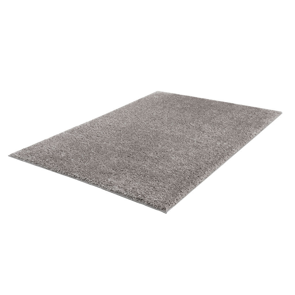 Super Soft Polyester Shag Area Rug 4' x 6'