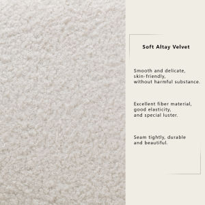 Modern Comfy Leisure Accent Chair Teddy Short Plush Particle Velvet Armchair with Ottoman for Living Room