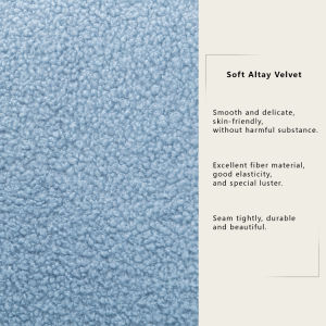 Modern Comfy Leisure Accent Chair Teddy Short Plush Particle Velvet Armchair with Ottoman for Living Room