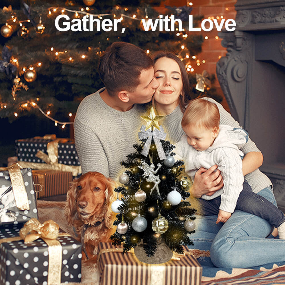 2ft Mini Christmas Tree with Light Tabletop Black Christmas Decoration with Flocked Snow