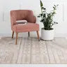Southwestern Grand Canyon Aztec Area Rug