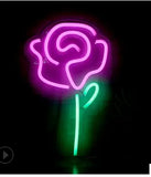 LED Neon Light, Acrylic Back Panel