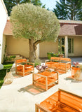 Design coffee table in wood and TPU Crystal Orange
