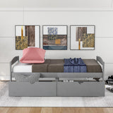 Twin Size Platform Bed With Two Drawers