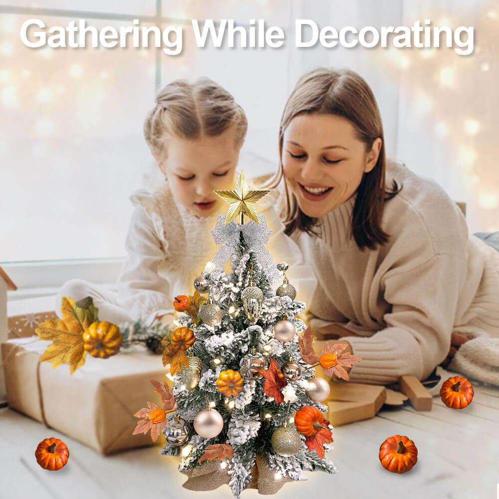 2ft Tabletop Christmas Tree with Light Christmas Decoration with Flocked Snow