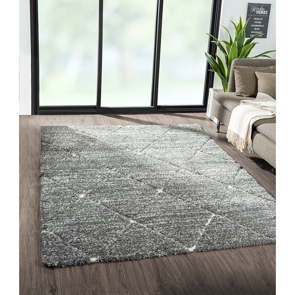 Sophie Talas Trellis Area Rug in Grey and Cream 5' W x 7' L