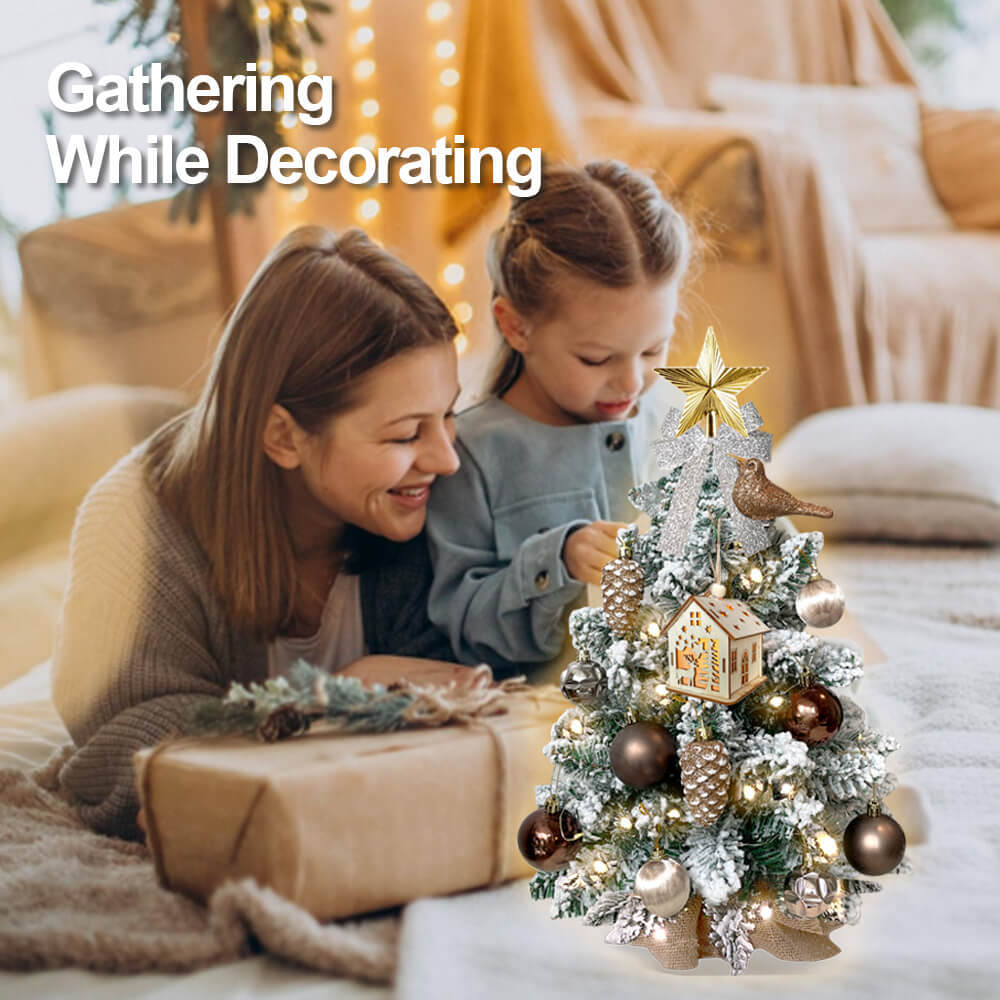 2ft Tabletop Christmas Tree with Light Christmas Decoration with Flocked Snow