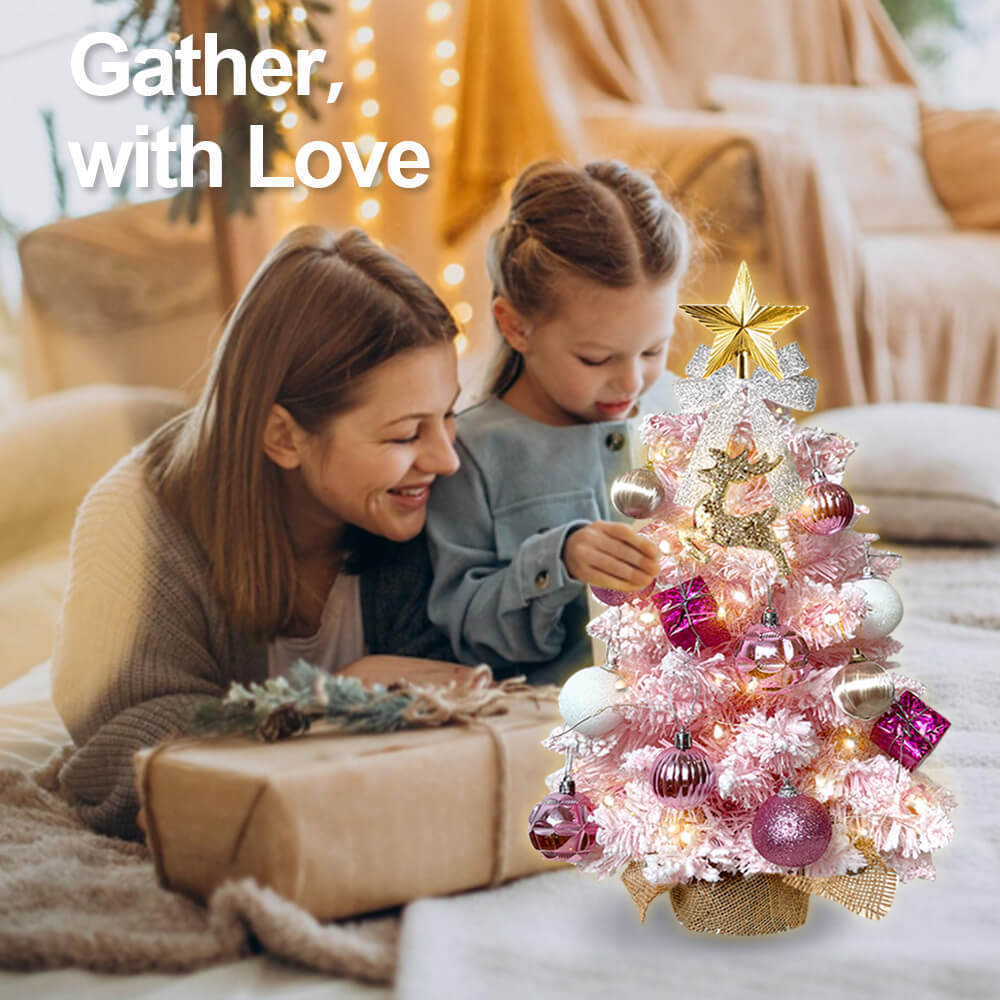 2ft Tabletop Christmas Tree with Light Christmas Decoration with Flocked Snow